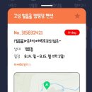 비로야영장 이미지