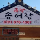 금광송어장