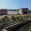 국시사랑 이미지