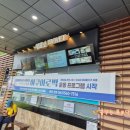 나주온천 | 광주 근교 전북 고창 석정휴스파 온천수 워터파크 수영장 첫 방문 후기!