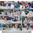 극진공수도의정부도장 | 울산 반구동 주짓수 수련생 후기 (남자를 여자로 만들어버린 포스팅)