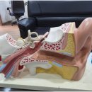 포낙보청기(안산센터) 이미지