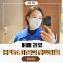 덴탈마트 | KF94마스크 추천 편안한 새부리형마스크 실사용 후기 (feat. 덴탈마스크 안녕)