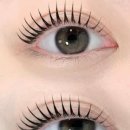 채움속눈썹 이미지