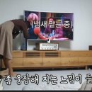 드림플스 이미지