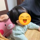 동해진미 이미지