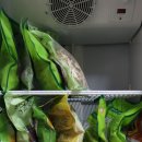 본초경희한의원 이미지