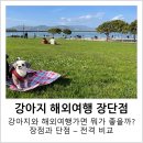 원이충어린이공원 CCTV | 강아지 해외여행 ] 장점과 단점, 강아지랑 해외 이 돈 들여서 갈만할까? 반려견 유럽 미국 베트남 여행후기