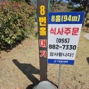 하동골프클럽 | 경남 파3 골프장 추천! 지리산 자락 아래 한적한 라운딩, 하동 CC 9홀 퍼블릭 골프장 방문기!