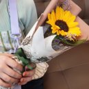 대반초교병설유치원 이미지