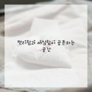 나의댕댕이