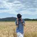 (주)드림미디어 이미지