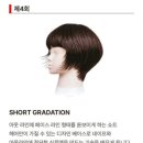 피카부아카데미 이미지
