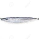 탑 클래스 짐 이미지