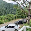 김삿갓데이지펜션 이미지