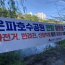 반듯하개 이미지