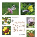 한국나비