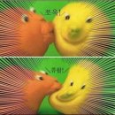 로만티카 이미지