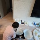 [과천 안양 군포 의왕 산후도우미] 봄빛베스트 후기
