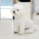 다현에프앤씨 이미지