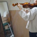 라인바이올린교습소 이미지