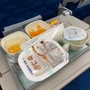 [하와이 태교여행] 4살 아이와 하와이 호놀롤루 태교여행 가족여행 1일차 / 쉐라톤 와이키키 / 하와이...