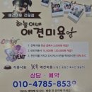 하늘이네 애견 미용 이미지