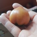 경수농장 이미지