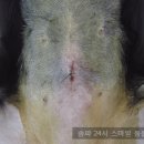 수서동물병원 이미지