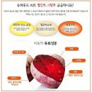 신토불이 제주 레드비트 50% 맛보기 이벤트 이미지