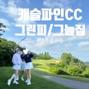 여주 골프장 캐슬파인cc 후기 그린피/그늘집