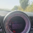 전라카센타 이미지