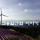 고용 알선업 이미지