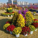 서구청 옥상생태공원 이미지