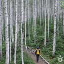 원남로-6 이미지