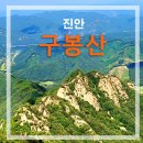 태릉입구역 1번출구 버스정류장 이미지