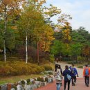 장충단공원 Daum카페