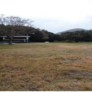 환경성질환 예방관리센터(비자림) 이미지