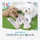 우신 | 강아지 오래 먹는 간식 추천 | 닥터독 한우 우신 블리스틱 후기