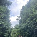 원앙목장 이미지