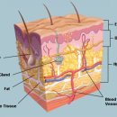닥터화이트의원 이미지