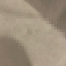 동성모텔 | 친구와 서울 여행 일상(2) 동대문 미미라인/하남돼지 집/아쉬웠던 동대문 숙소와 초밥집