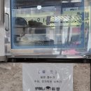 뽀혀니김밥