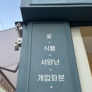 코리가든 | 연말 꽃선물 하기 좋은 광안리 꽃집 추천 ‘코리가든’ 후기