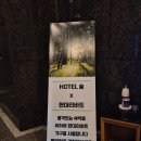 에버호텔 | 용인기흥호텔 호텔숲 후기, 에버랜드근처숙박으로 좋은 가성비 숙소