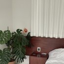 중명 정원 이미지