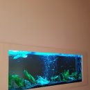 서초현대어린이집 이미지