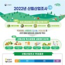 영림벌목