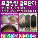큐사랑울산