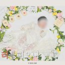 50일 아기 셀프 촬영 리틀피오니 리틀로지 후기